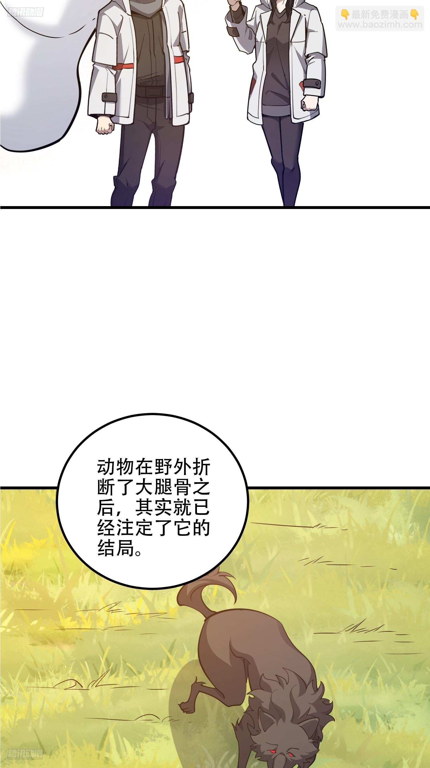 第一序列 - 551 桃樹停止生長(1/2) - 3