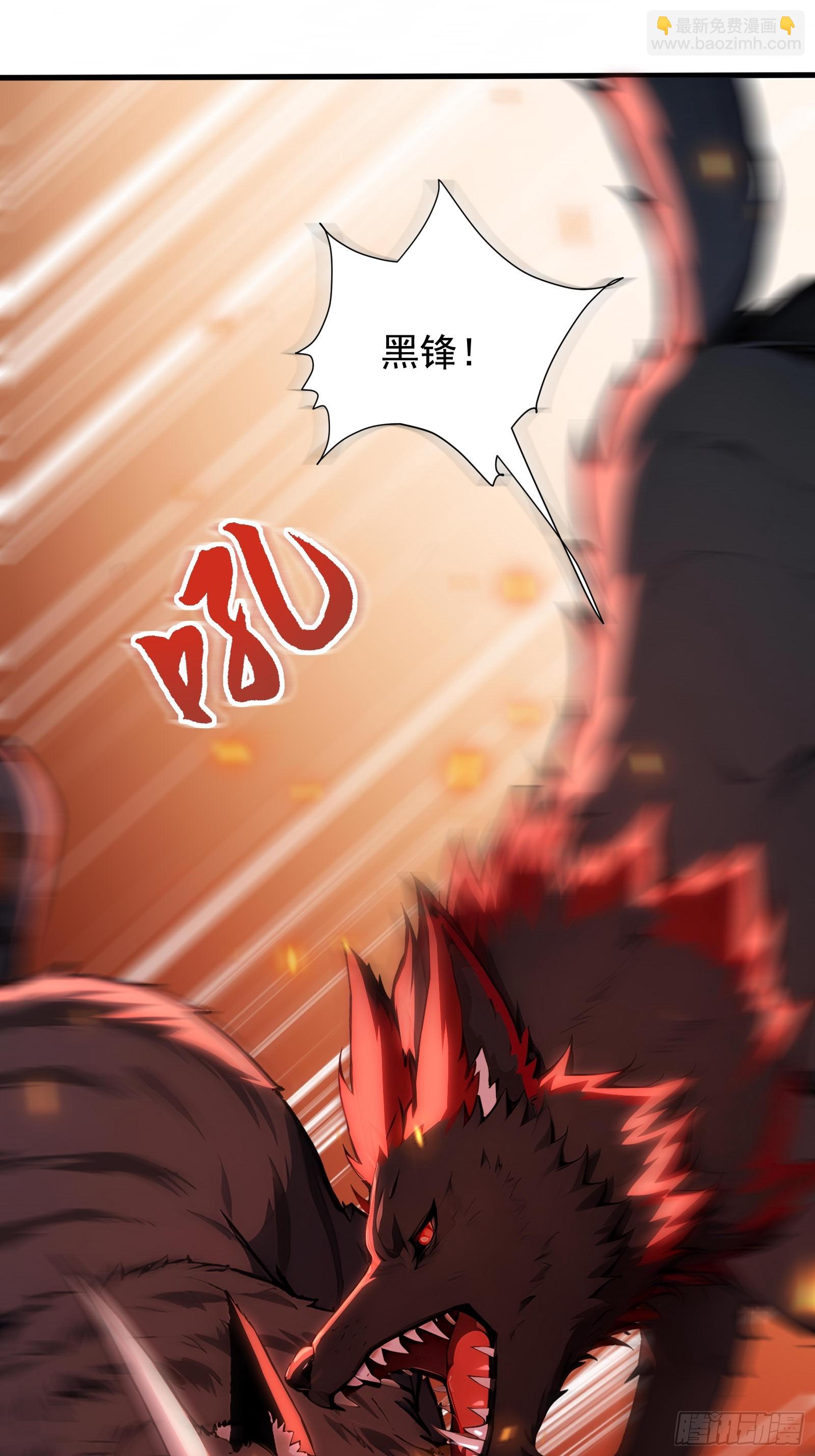 11 黑虎公会-第11话