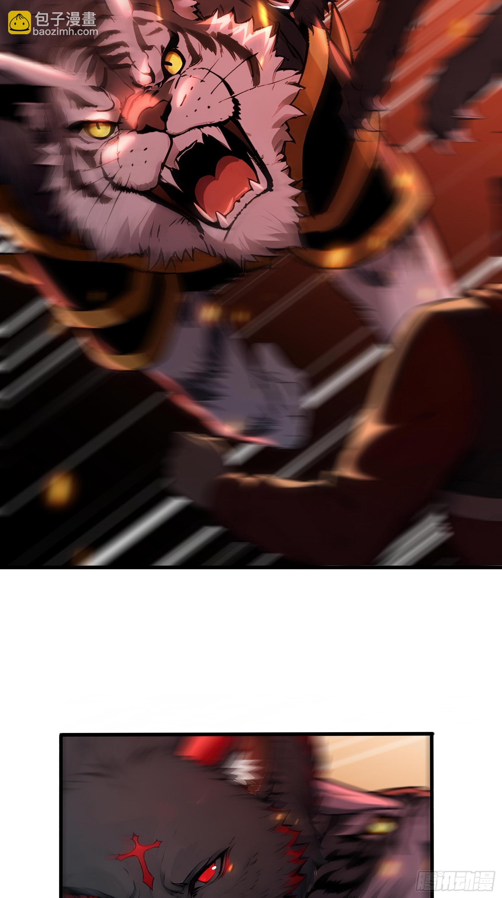 11 黑虎公会-第11话