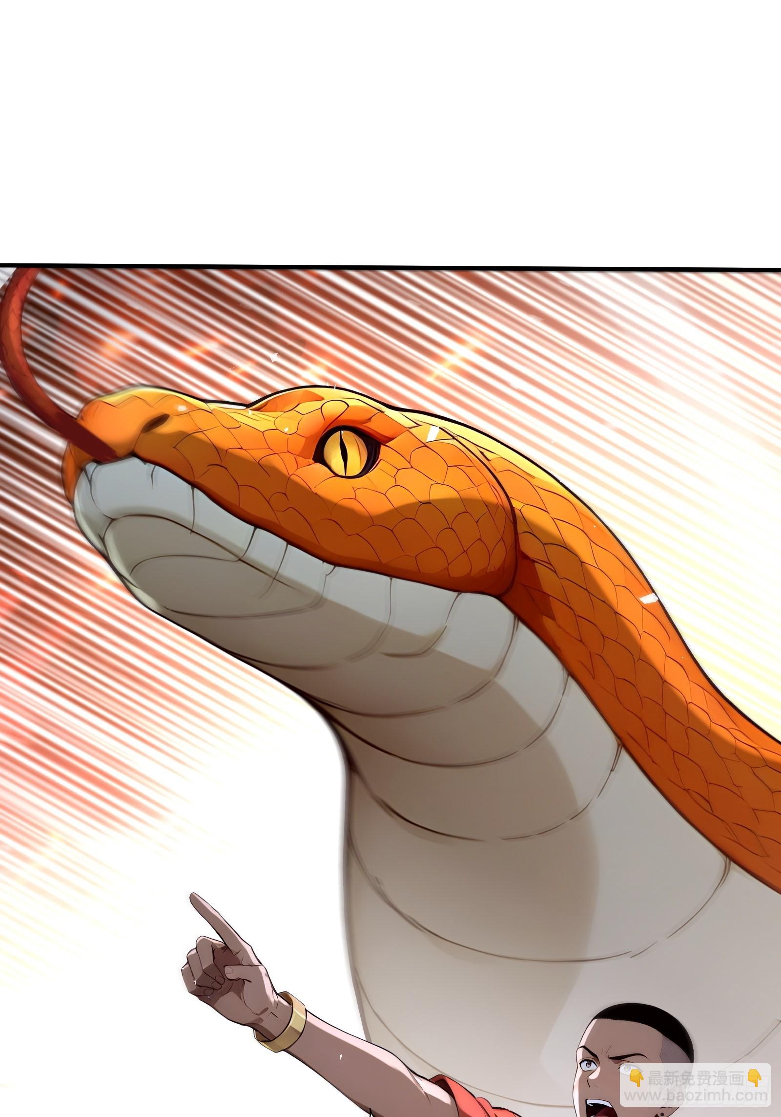 41 光之一闪(1/2)-第41话