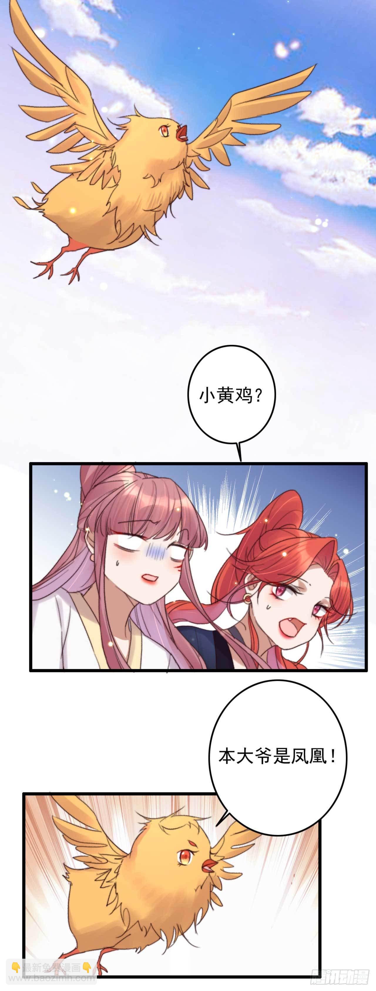 第11话 小黄鸡还是凤凰？-第11话