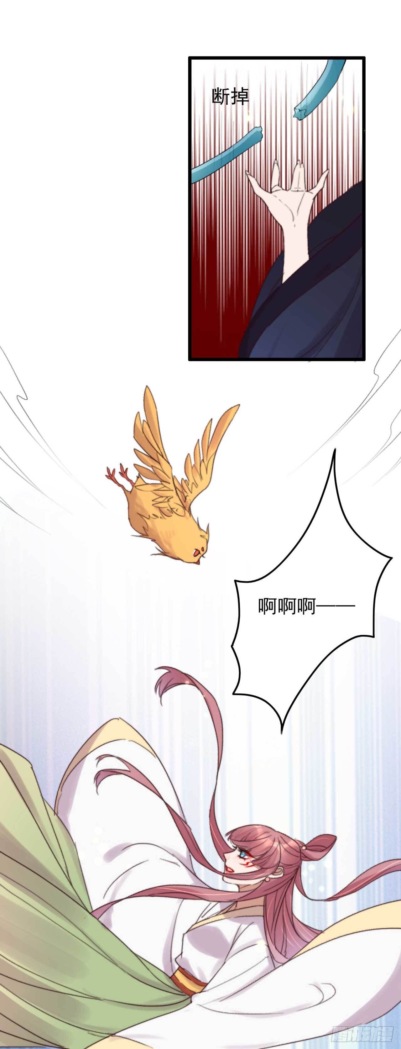 第11话 小黄鸡还是凤凰？-第11话