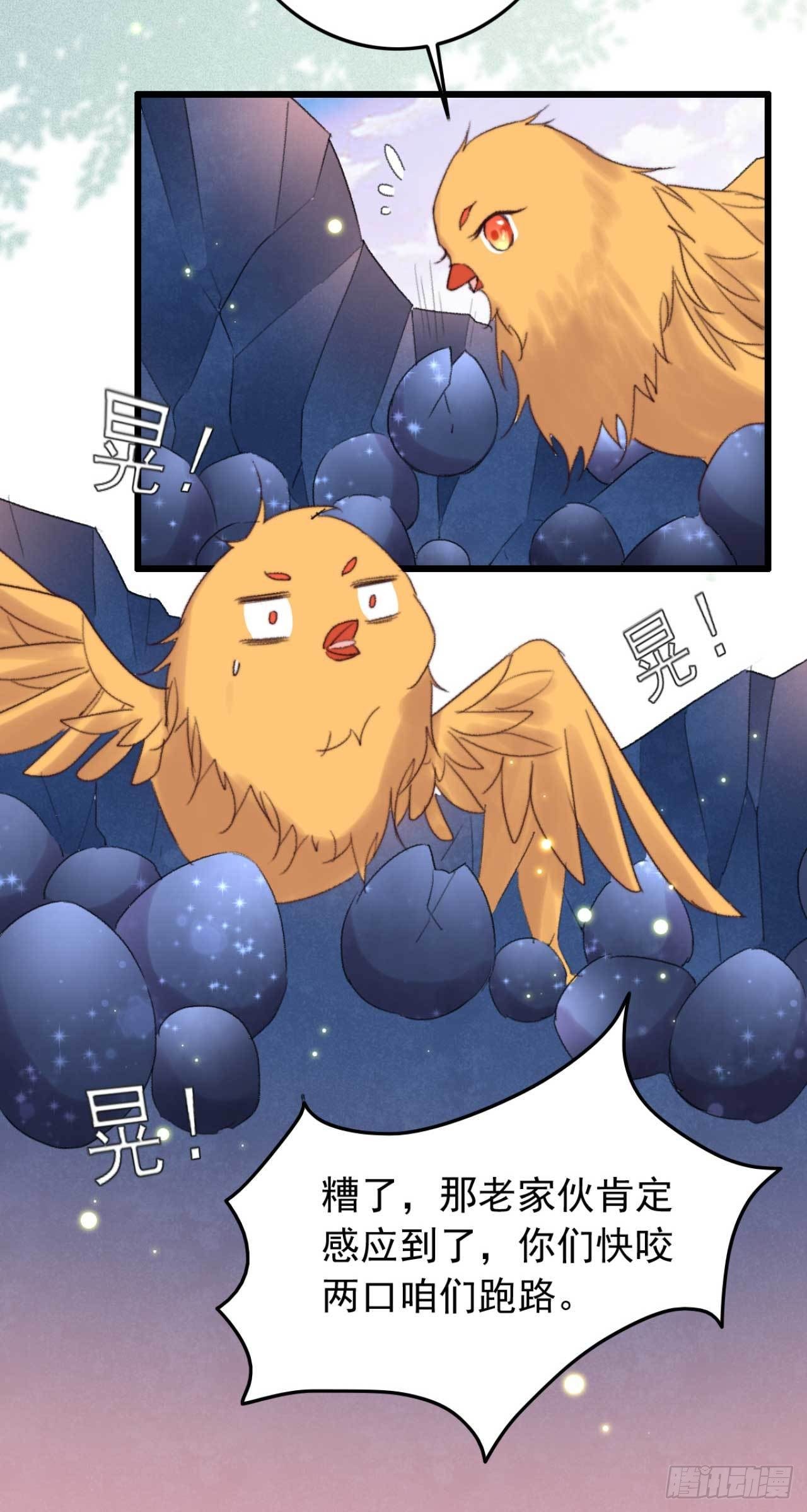 第11话 小黄鸡还是凤凰？-第11话