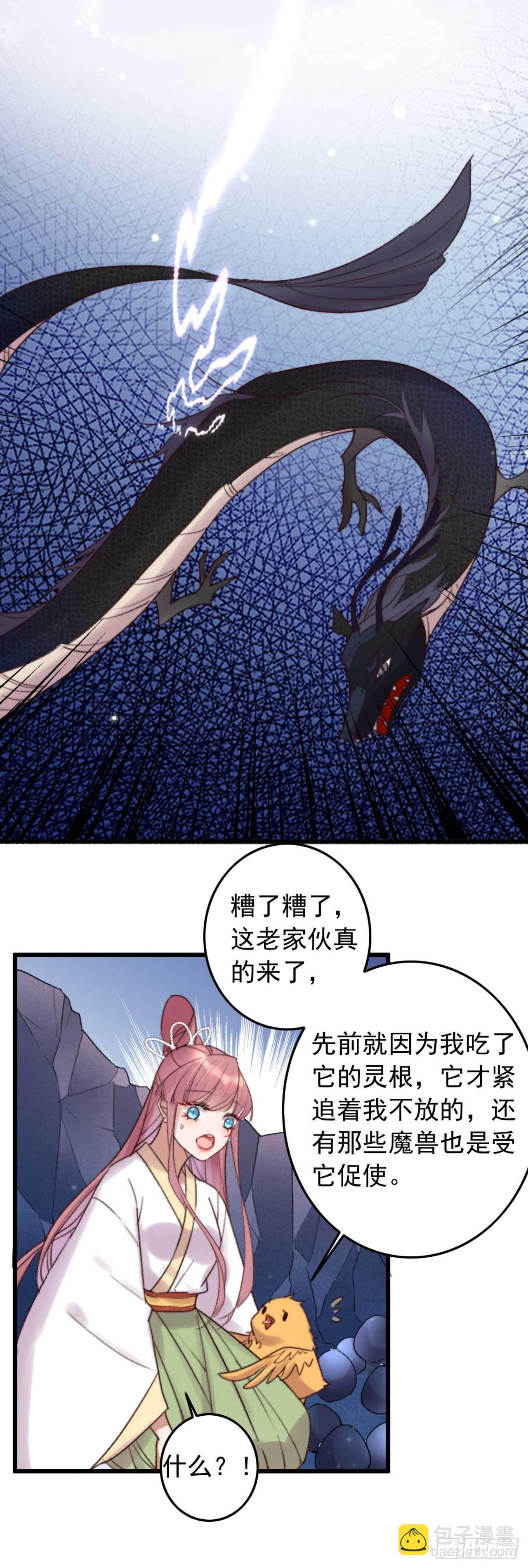 第11话 小黄鸡还是凤凰？-第11话