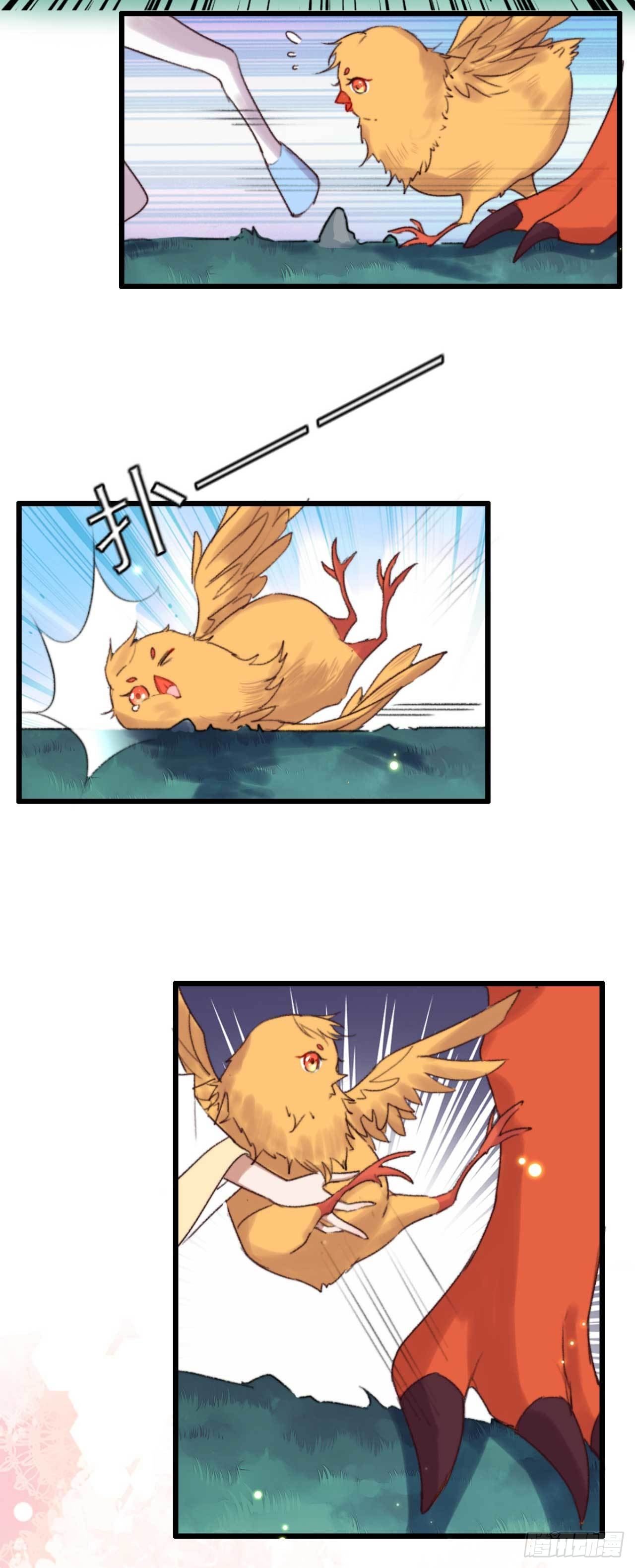 第11话 小黄鸡还是凤凰？-第11话