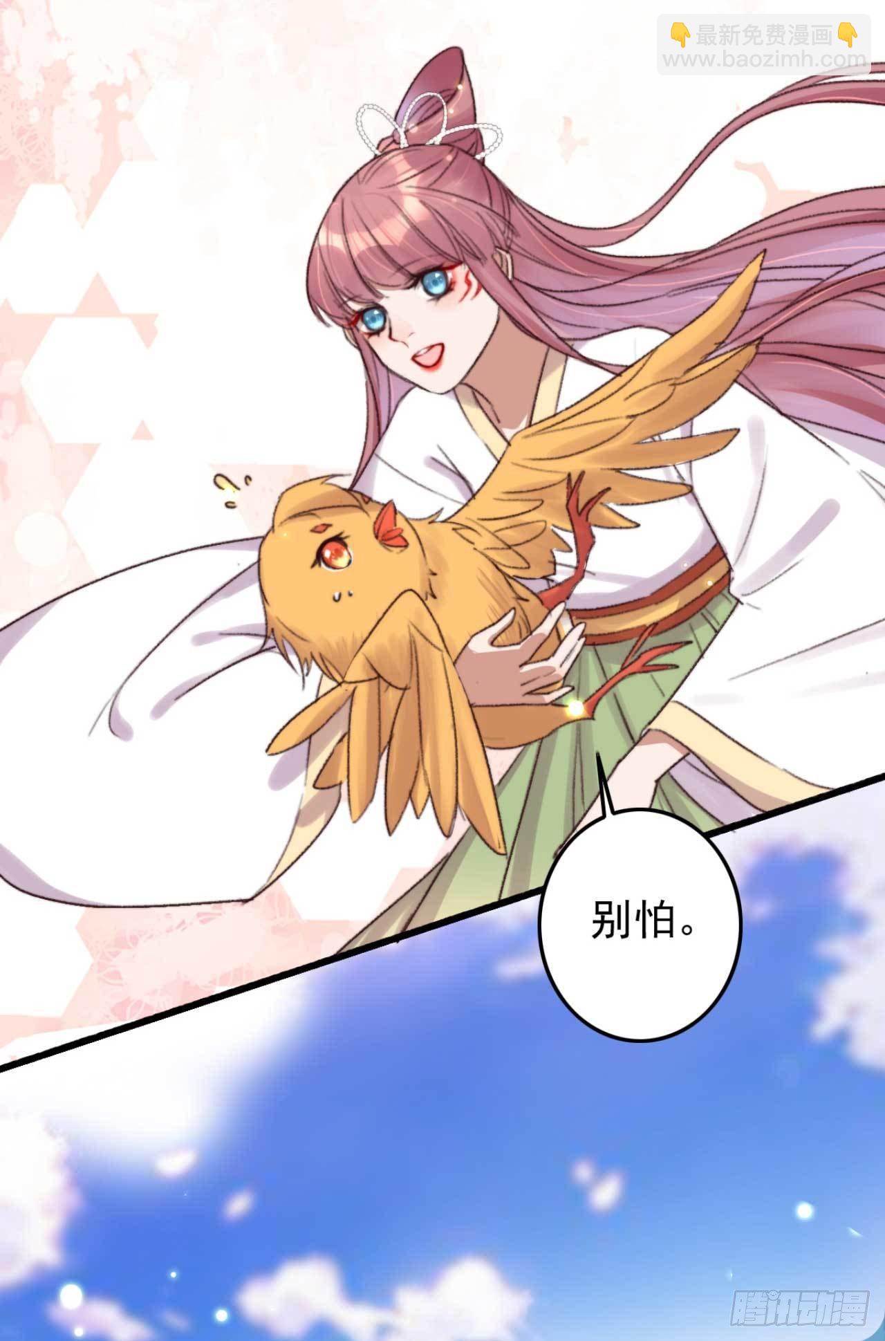 第11话 小黄鸡还是凤凰？-第11话