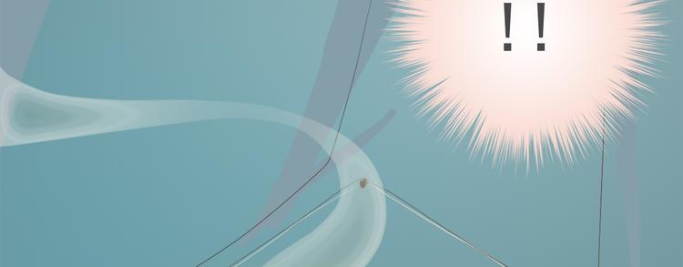 第三十九话(1/4)-第45话