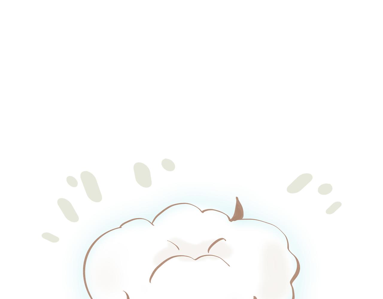 柔柔软软暖暖弹弹的新疆棉-第29话