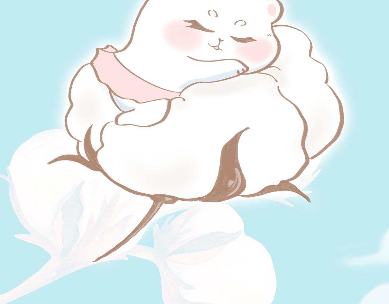 柔柔软软暖暖弹弹的新疆棉-第29话