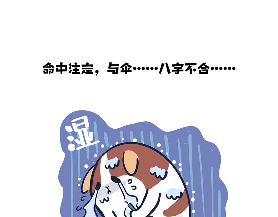 大夏天的糟心事儿（上）-第5话