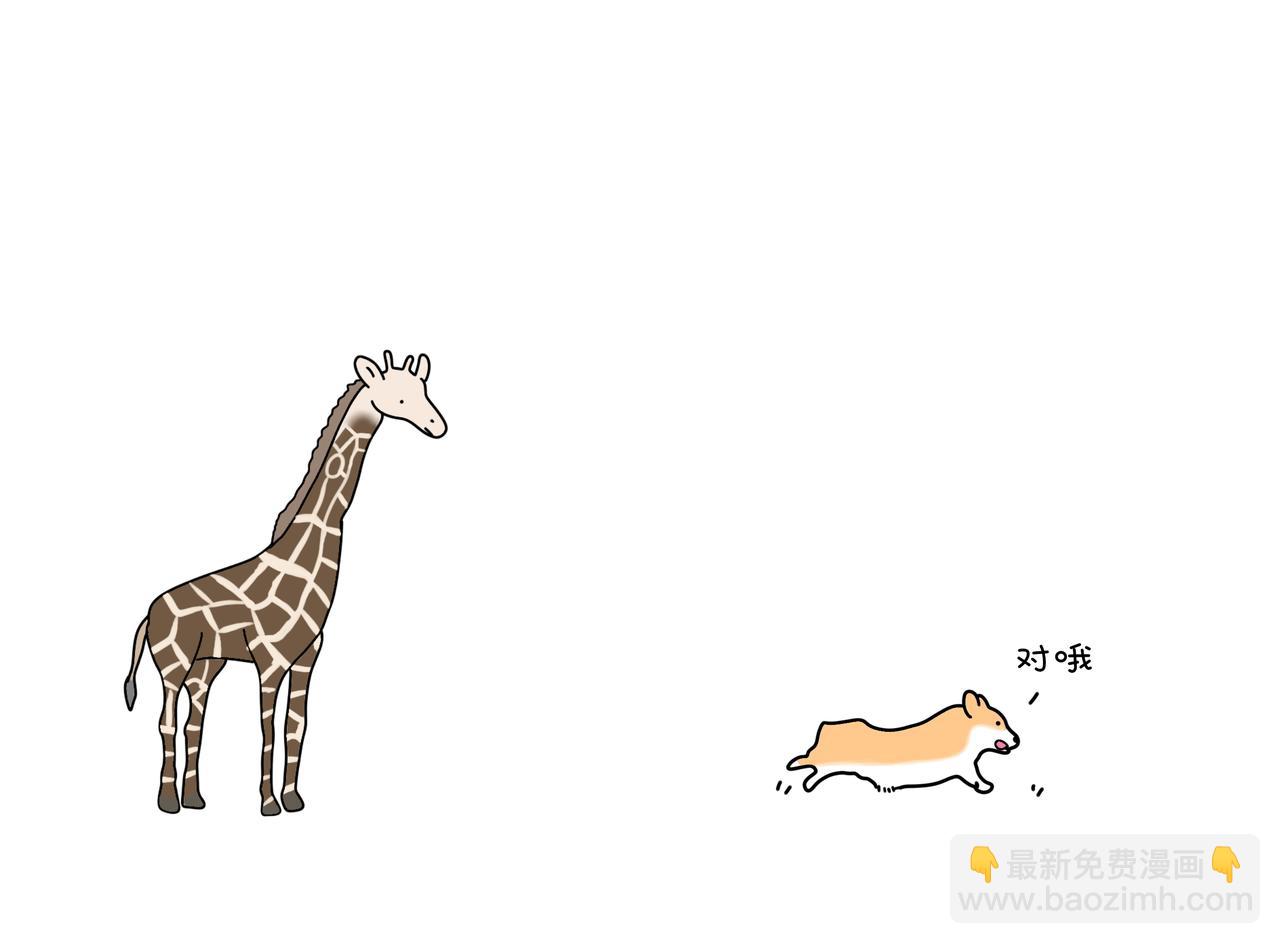 動物聯盟 - 陪伴是最長情的告白(1/2) - 3