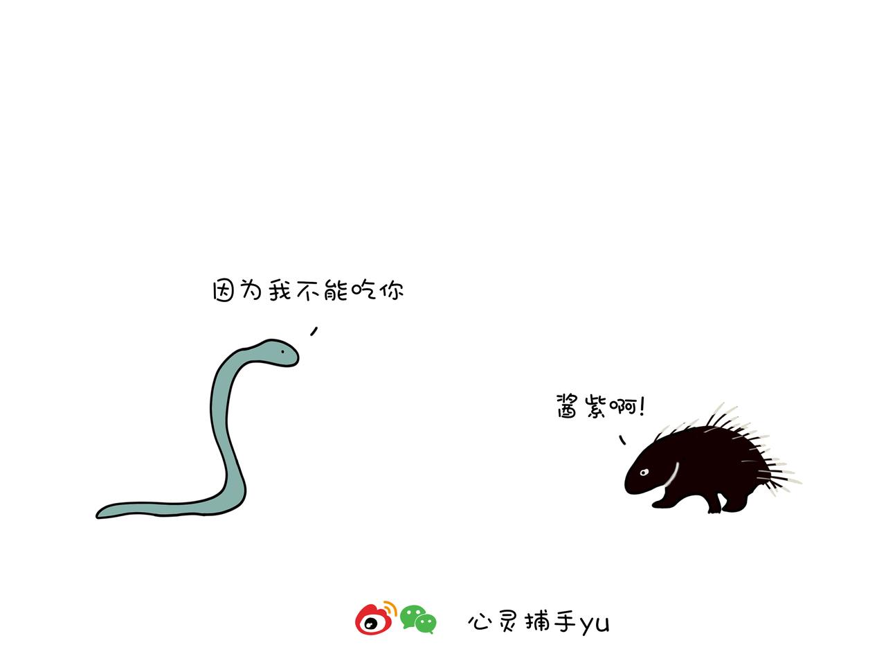 動物聯盟 - 陪伴是最長情的告白(1/2) - 8