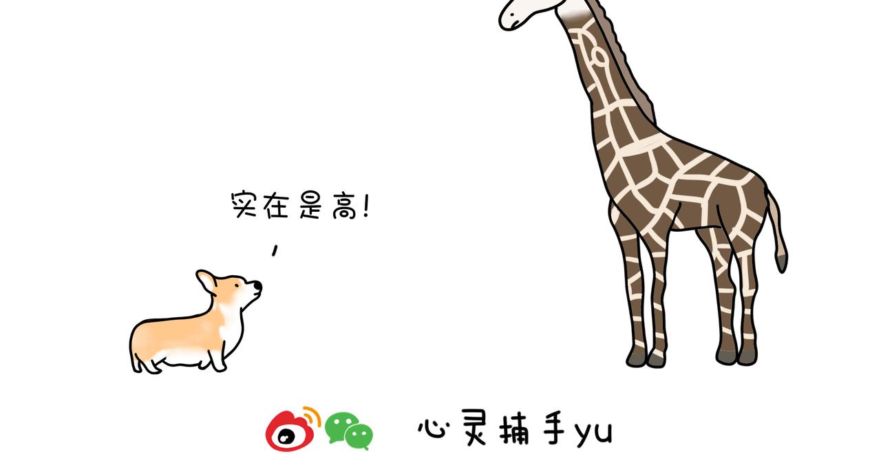 動物聯盟 - 明天我再喜歡你 - 4