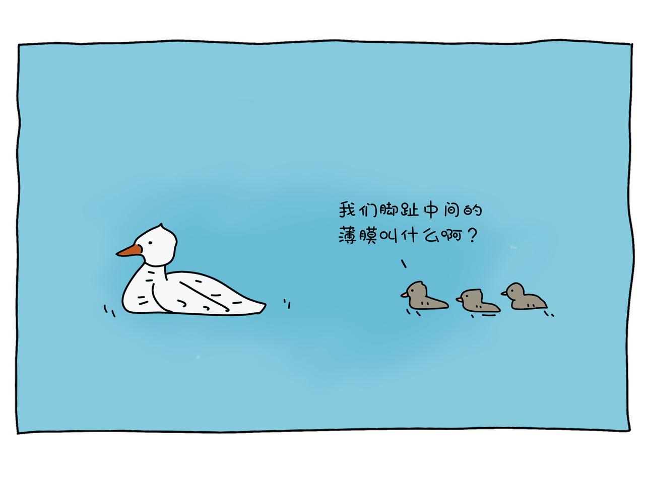 動物聯盟 - 明天我再喜歡你 - 6