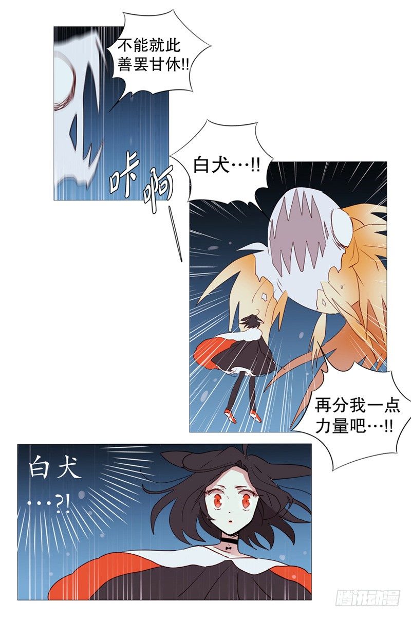 白犬登场-第9话