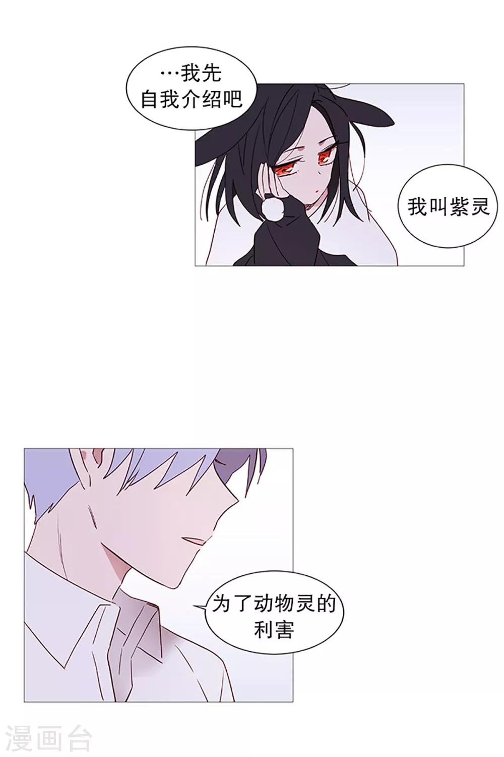 第13话 我是紫灵-第13话