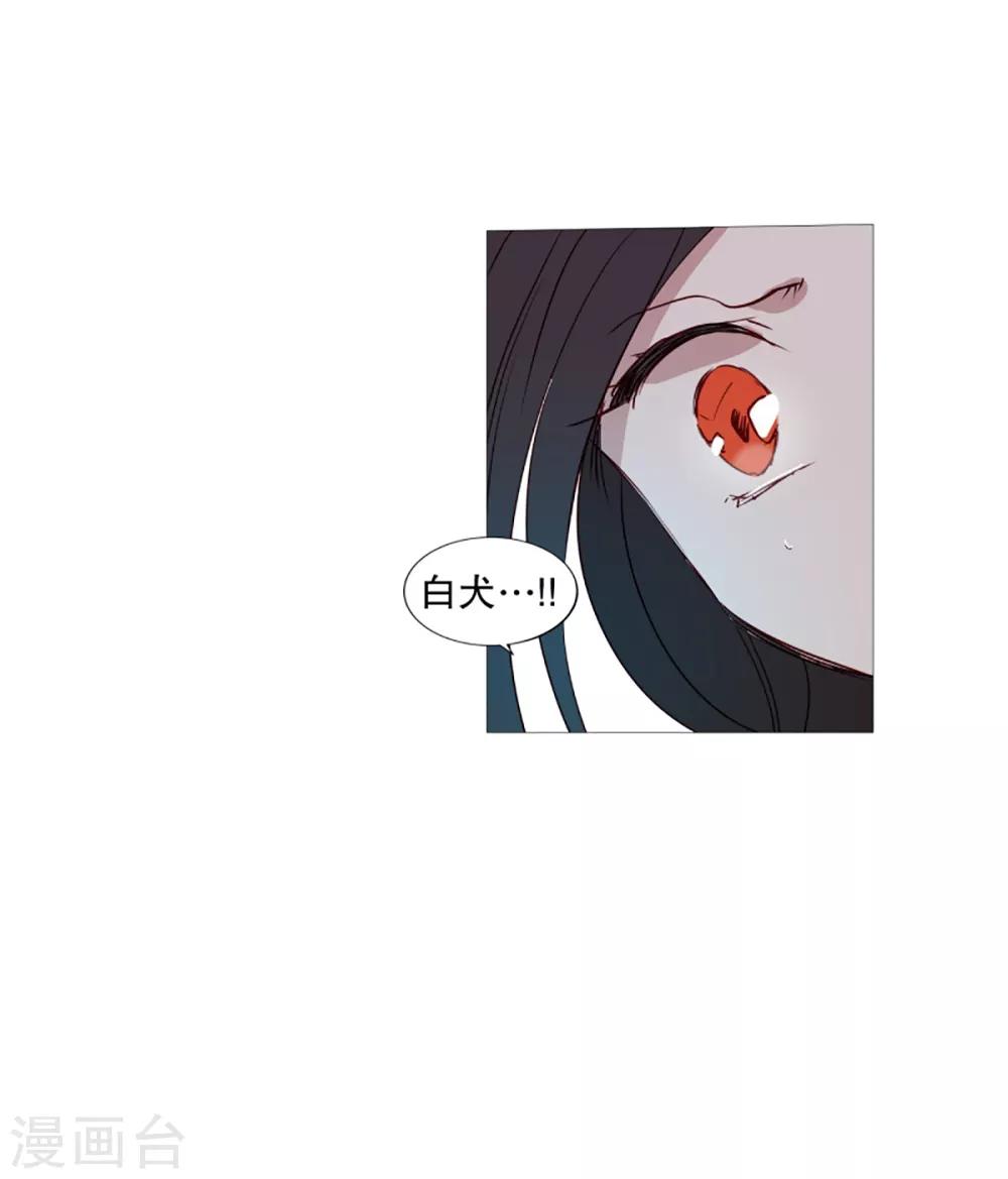 第41话 小鸡灵的选择2-第41话