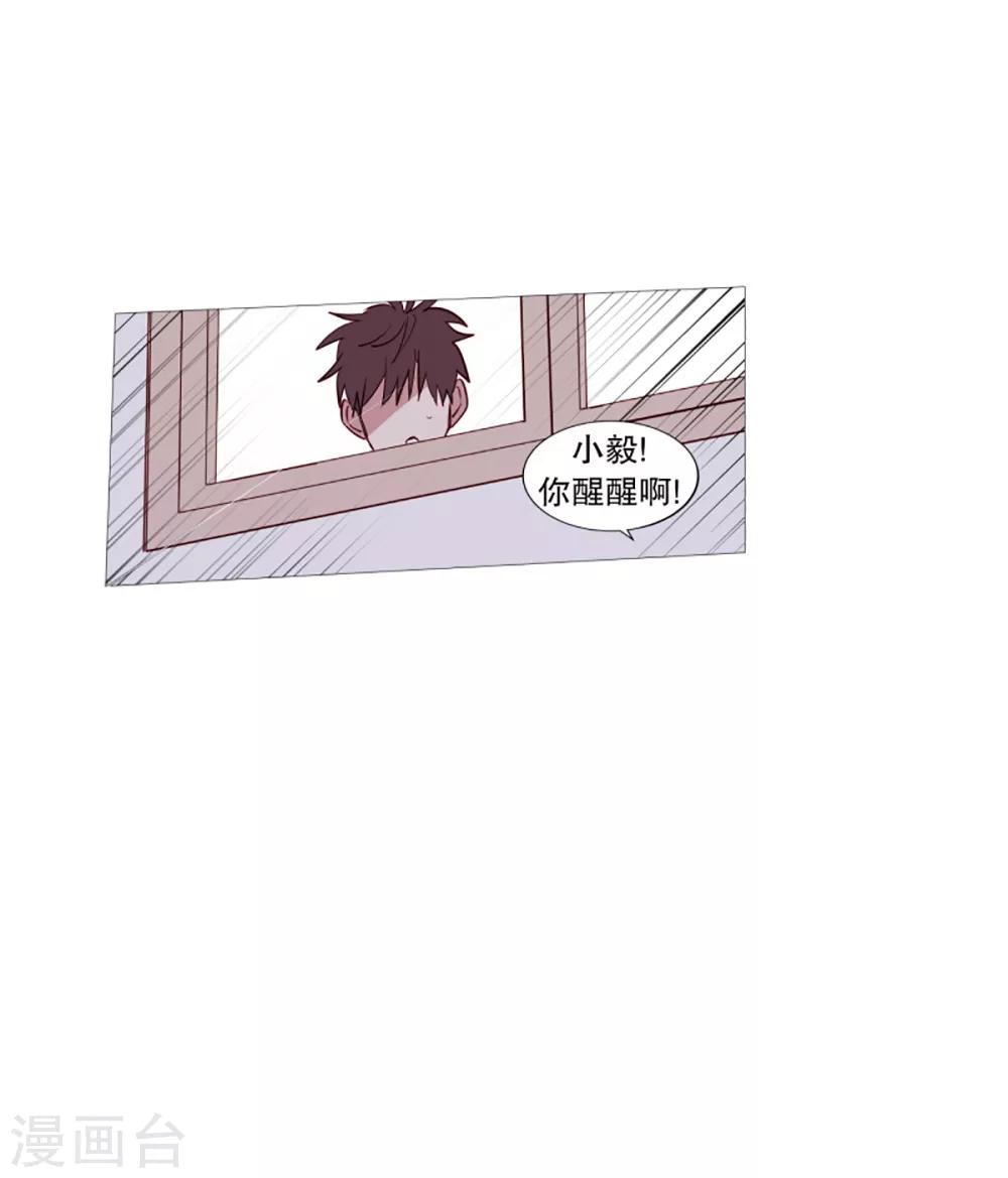 第41话 小鸡灵的选择2-第41话