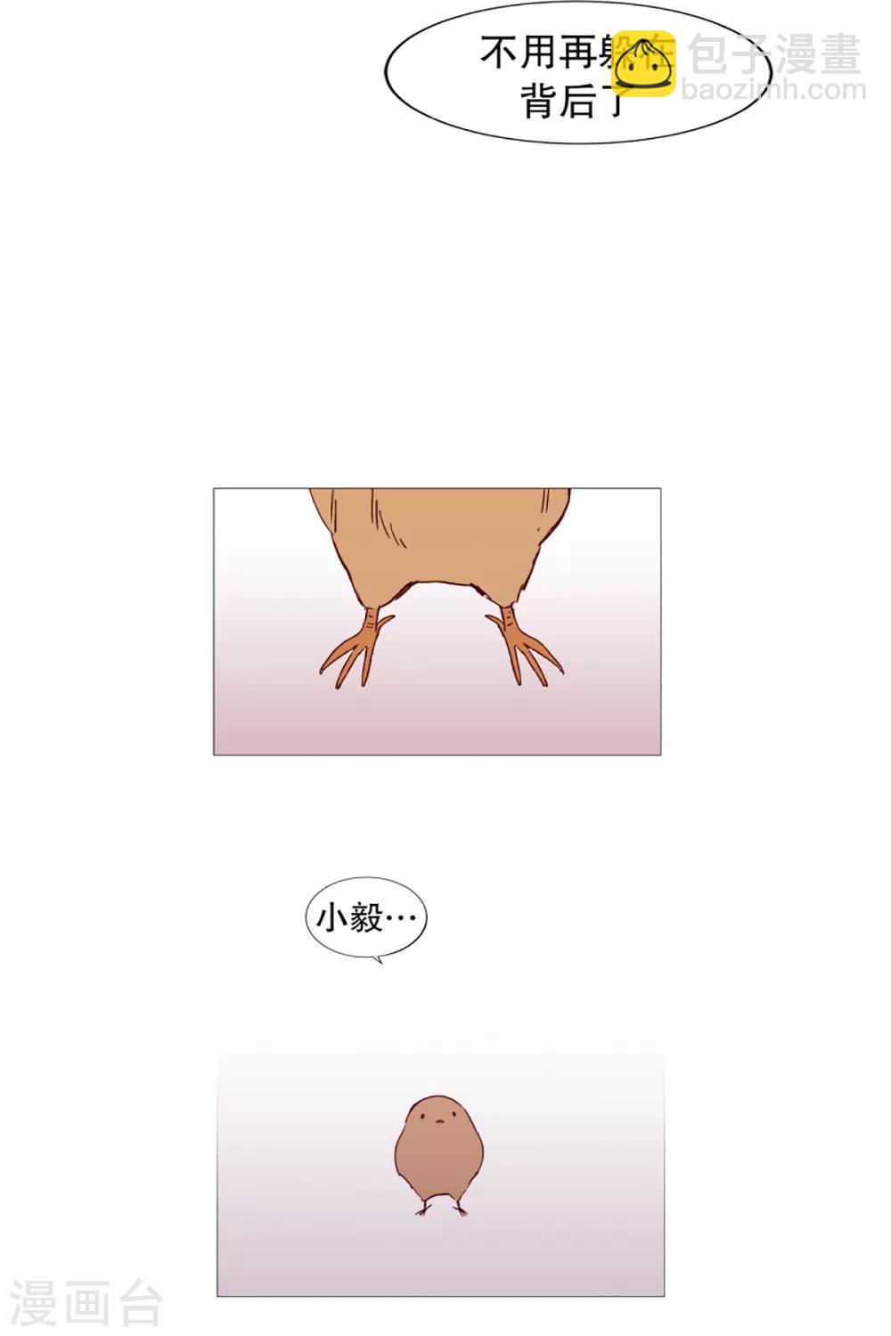 第41话 小鸡灵的选择2-第41话