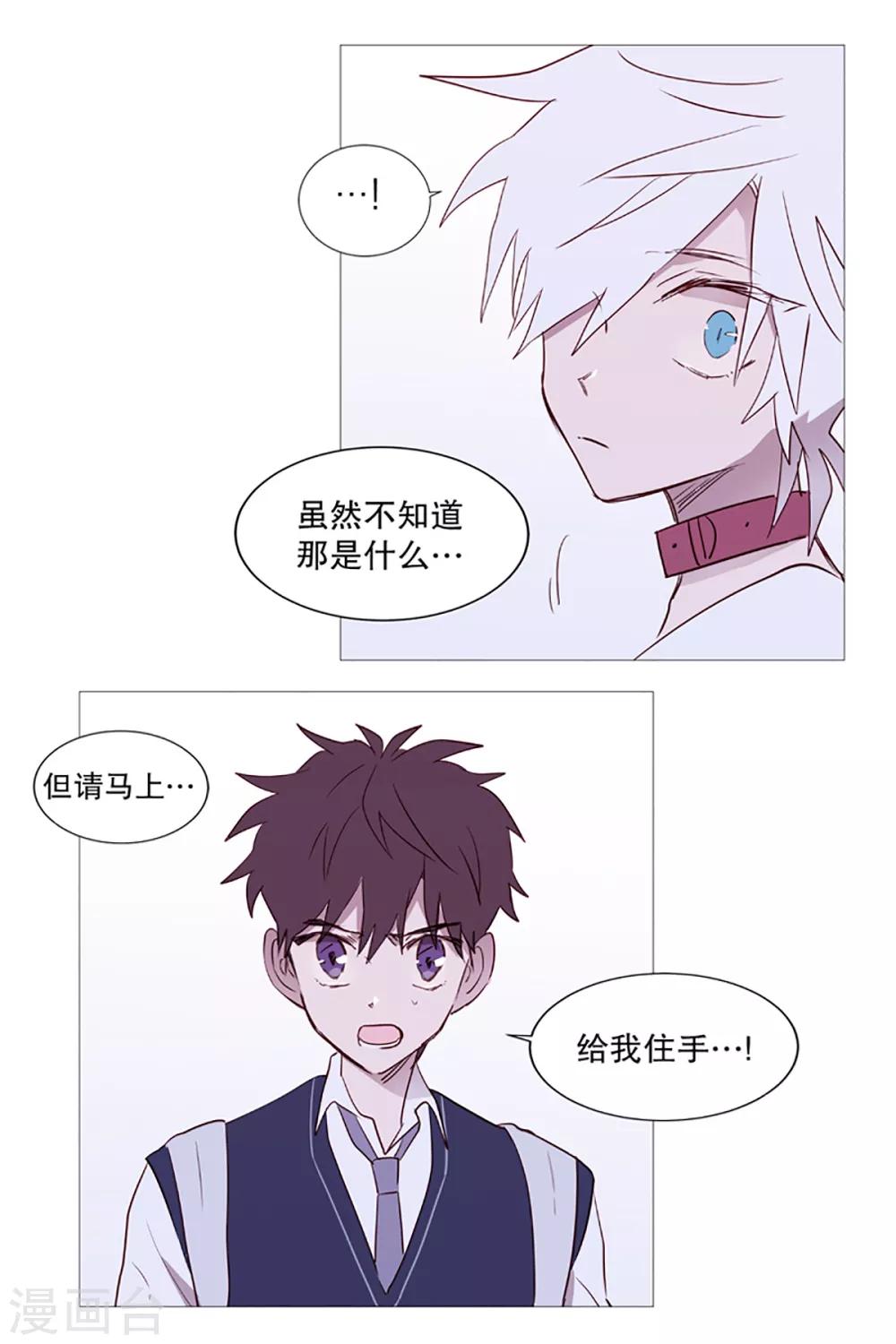 第9话 白犬登场-第9话