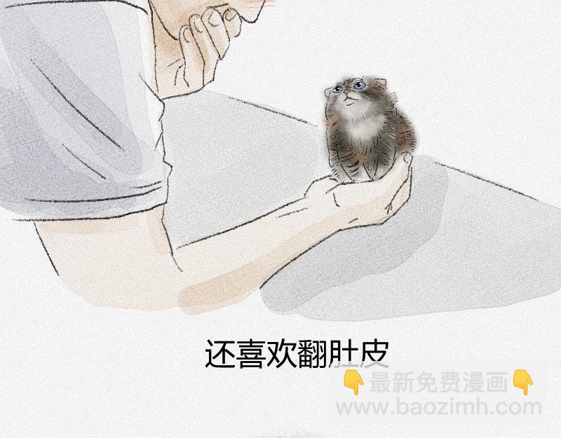 動物爲什麼這麼可愛？ - 兔猻，高原猛獸 - 5