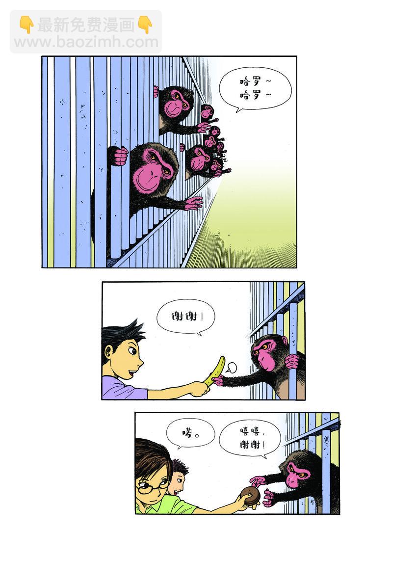 動物園真相 - 第一季 第1集 一隻斑馬紋的貓 - 2