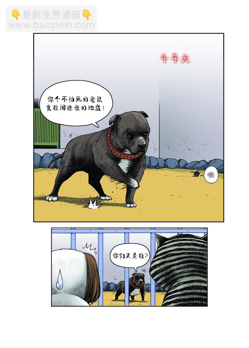 動物園真相 - 第一季 第13集 潛在的威脅 - 2