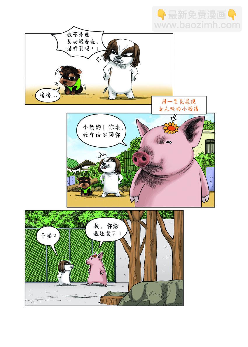 動物園真相 - 第一季 第17集 迷路的小狗 - 2