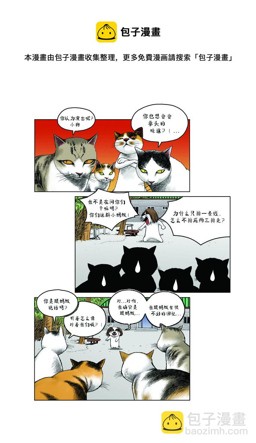 動物園真相 - 第一季 第19集 衝突 - 2