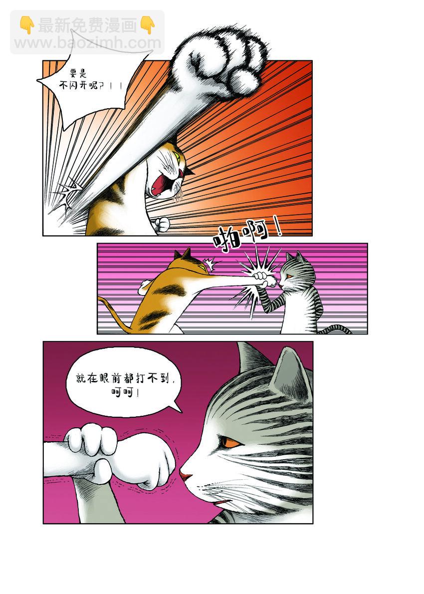 動物園真相 - 第一季 第19集 衝突 - 2