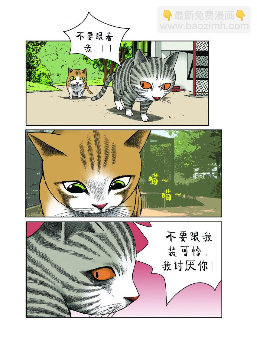 動物園真相 - 第一季 第27集 復仇 - 2