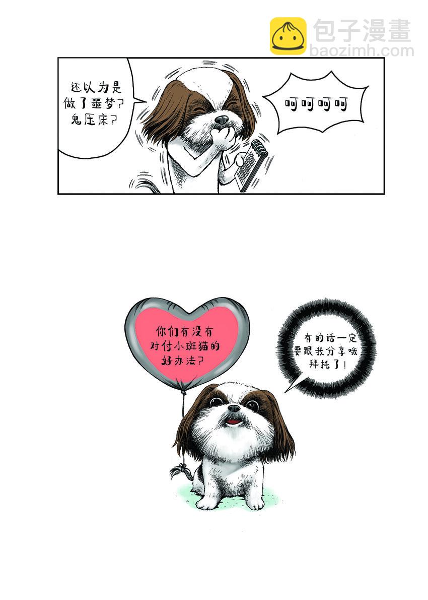 動物園真相 - 第一季 第4集 小熱狗的秘密 - 1