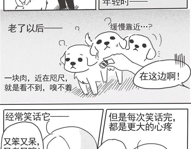 Dora日记 - 谢谢你来过这世界(2/5) - 2