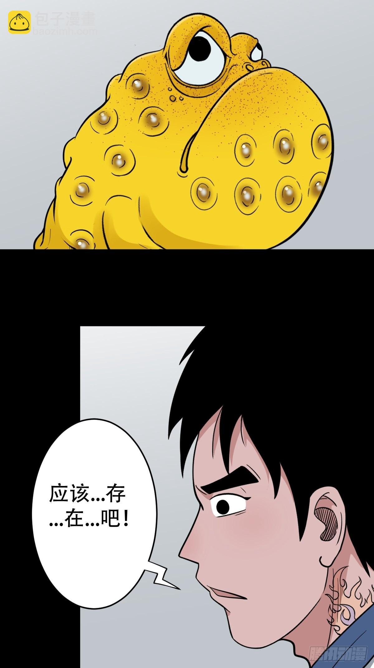 41.jpg