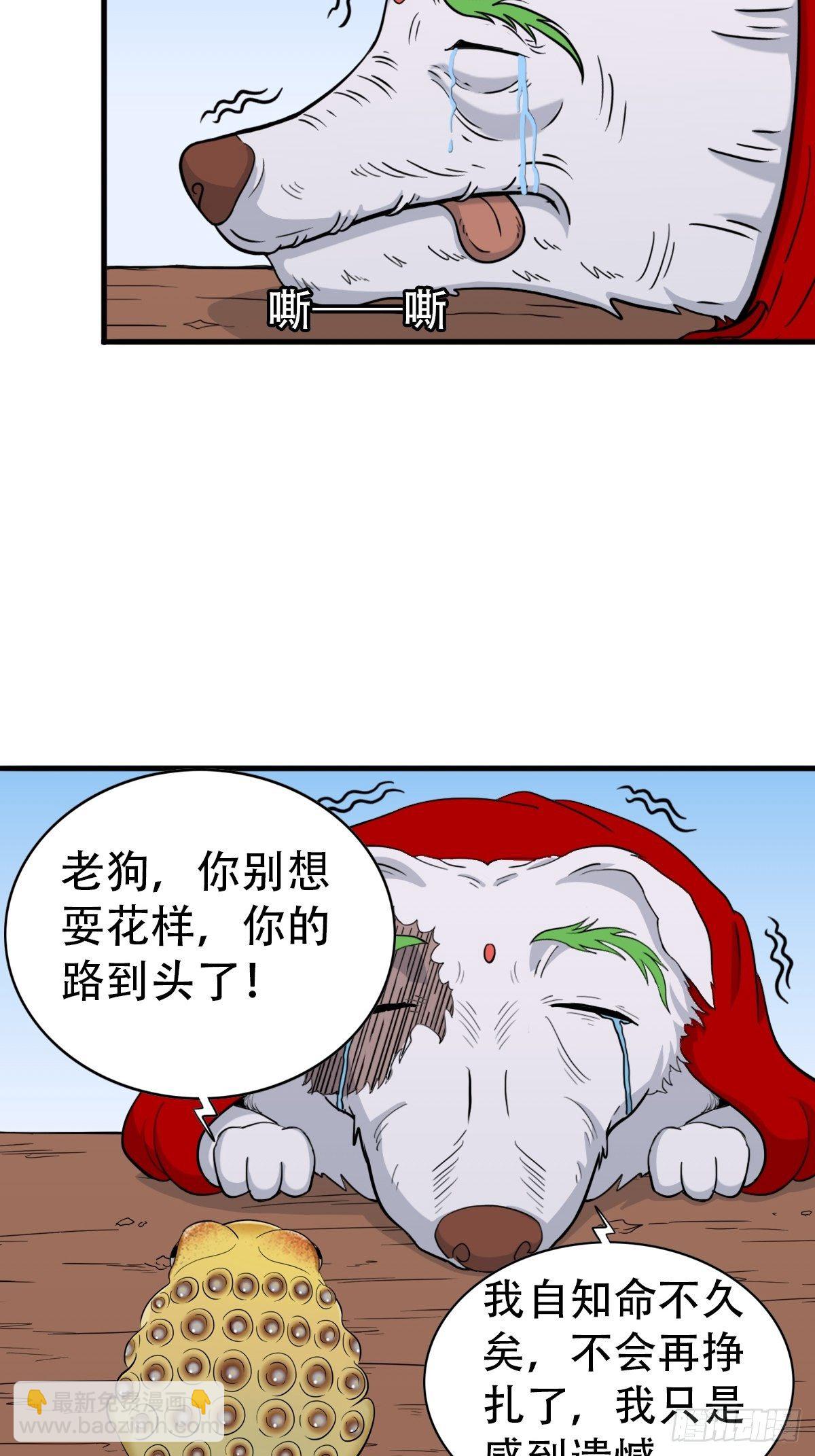 54.jpg