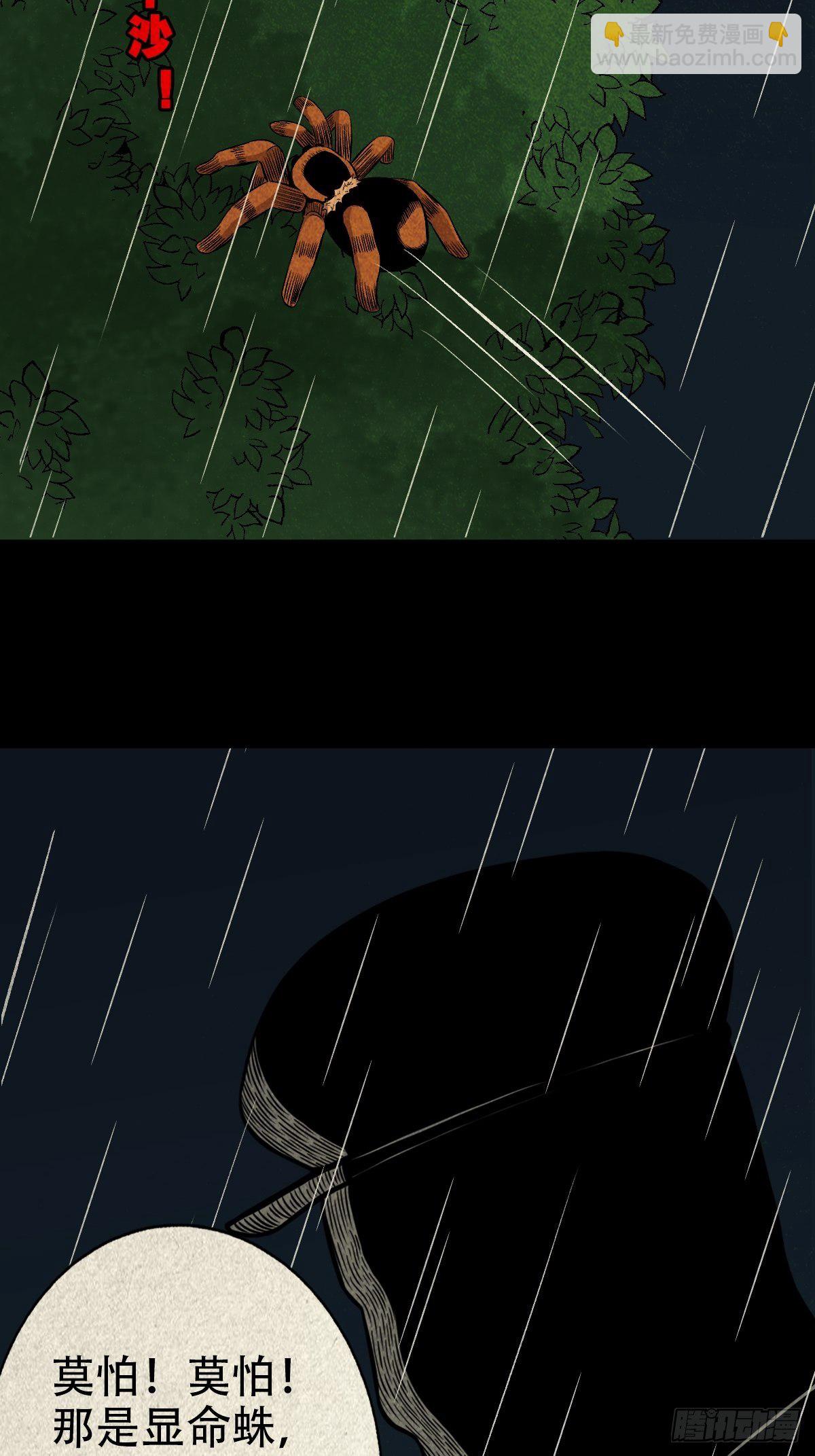 47.jpg