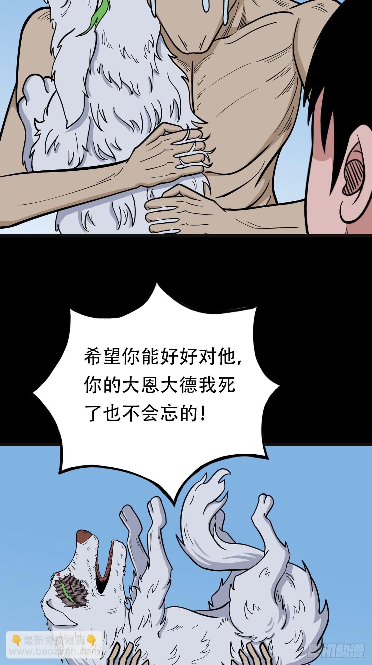 80.jpg