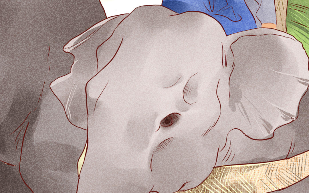 第16话  幸运(1/4)-第19话