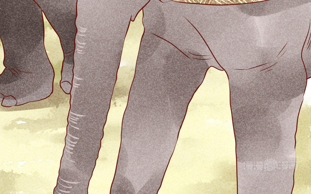 第16话  幸运(1/4)-第19话