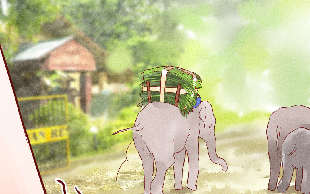 第16话  幸运(1/4)-第19话