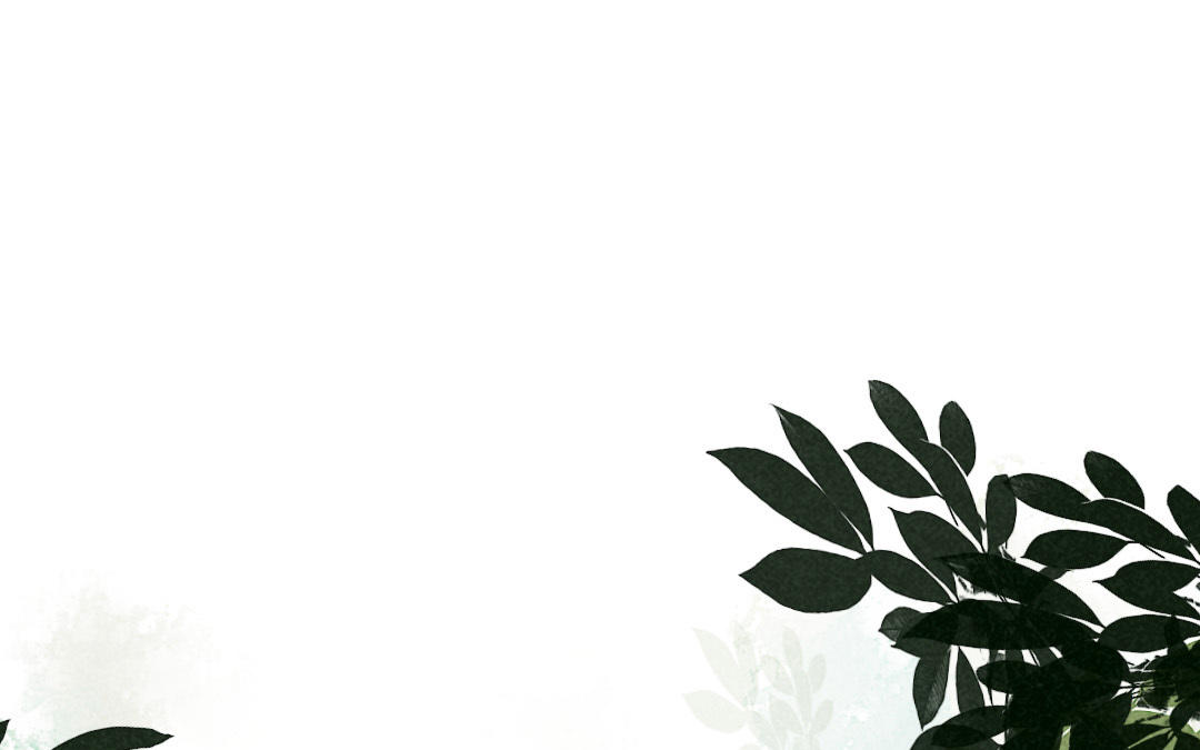 第29话  幸运女神(1/5)-第29话