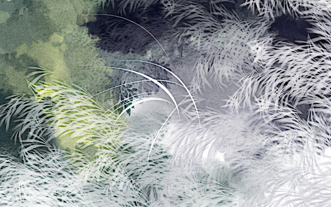 第29话  幸运女神(1/5)-第29话