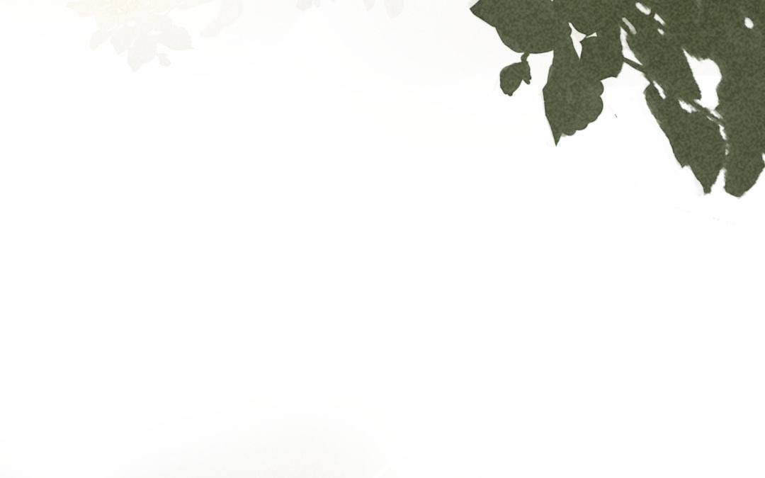 第32话  治愈(1/4)-第33话