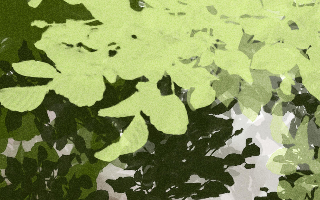 第32话  治愈(1/4)-第33话