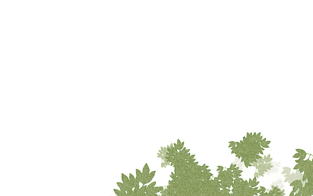 第8话  只是朋友(1/4)-第9话