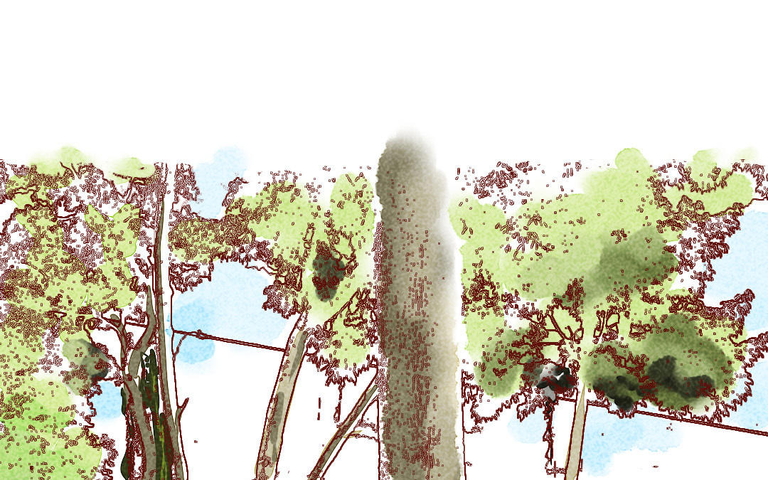 第9话  有趣的人(1/4)-第11话