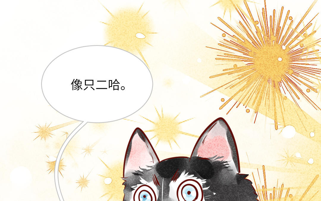 第9话  有趣的人(1/4)-第11话