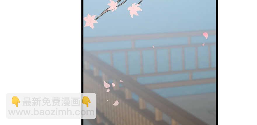 毒步天下：特工神醫小獸妃 - 第109話(1/3) - 6