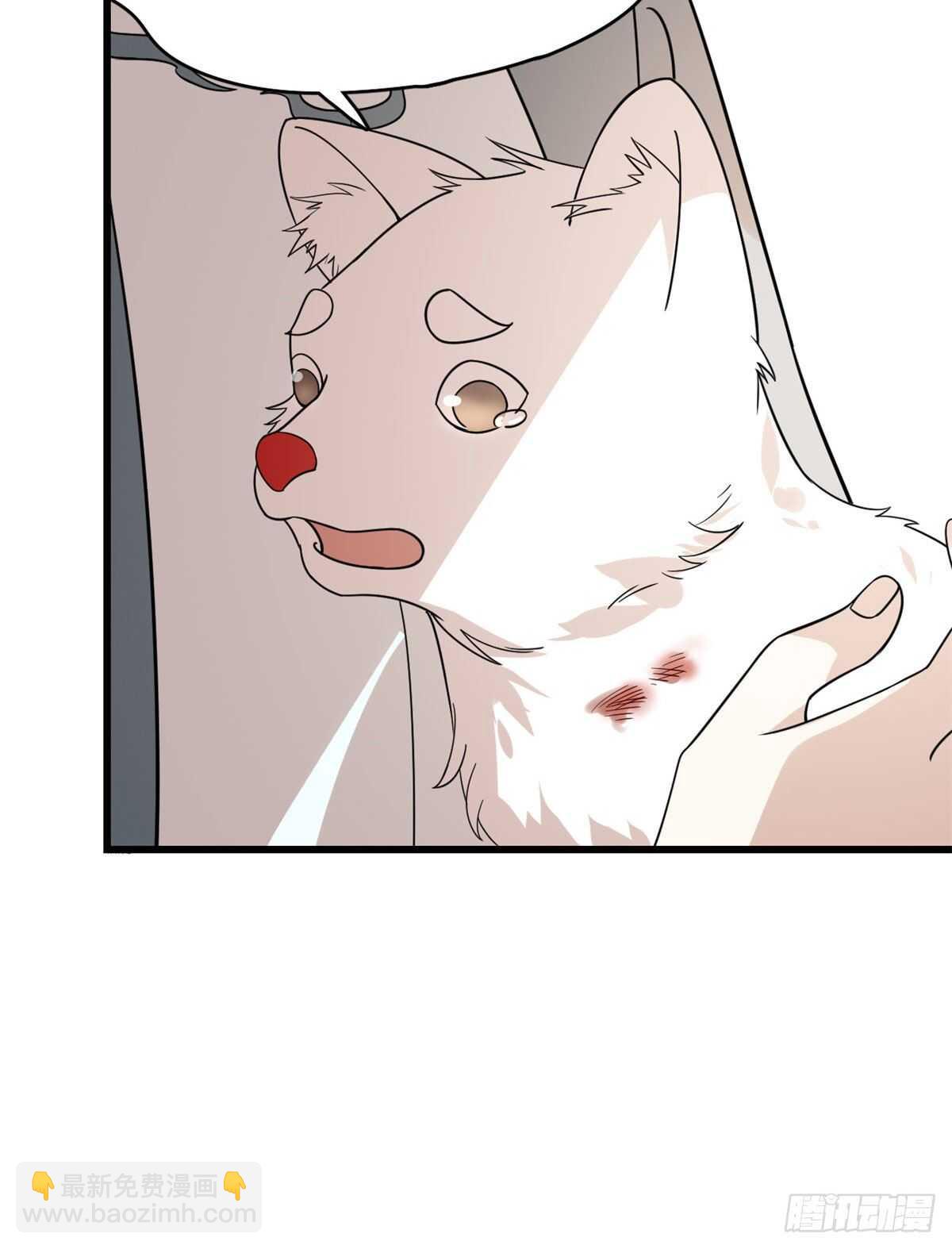 毒步天下：特工神醫小獸妃 - 第195話 - 6