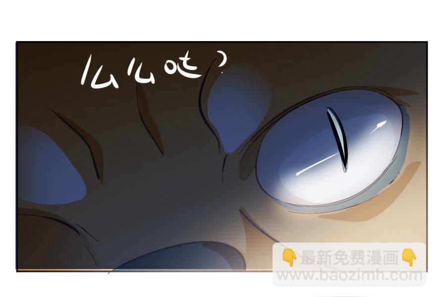 毒步天下：特工神醫小獸妃 - 第3話(2/3) - 1